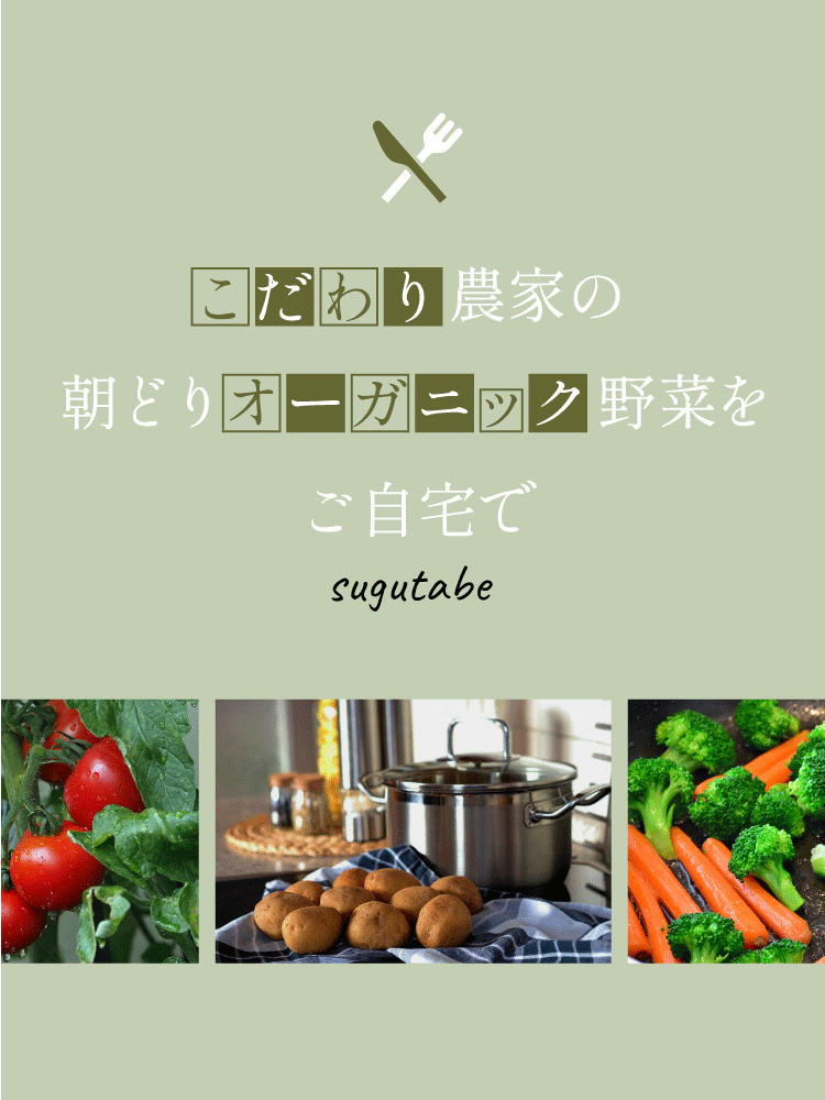 こだわり農家の朝どりオーガニック野菜をご自宅で