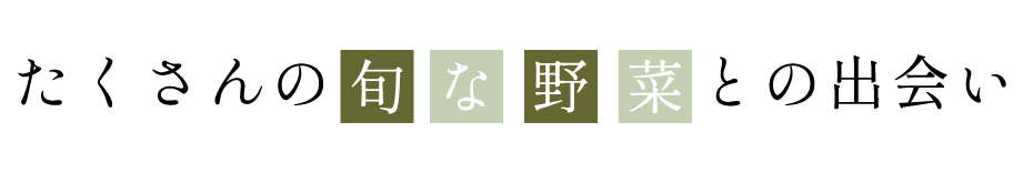 たくさんの旬な野菜との出会い